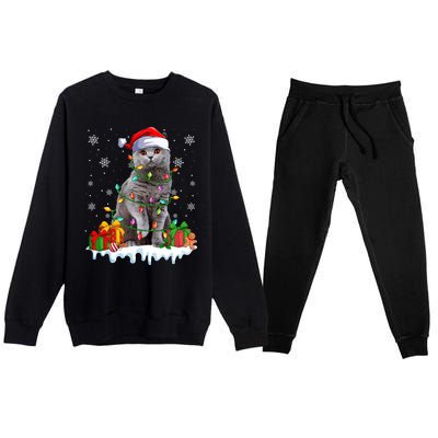 British Shorthair Cat Xmas Light Christmas Kitten Lover Funny Gift Premium Crewneck Sweatsuit Set