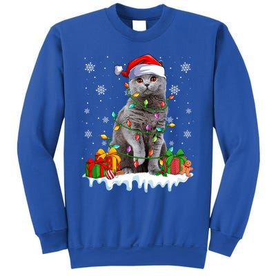 British Shorthair Cat Xmas Light Christmas Kitten Lover Funny Gift Sweatshirt