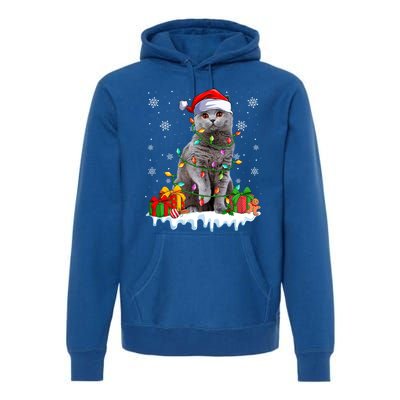 British Shorthair Cat Xmas Light Christmas Kitten Lover Funny Gift Premium Hoodie