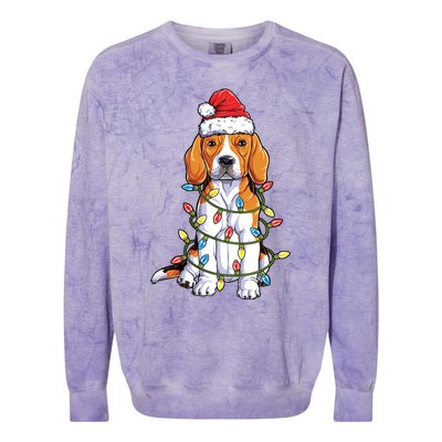 Beagle Santa Christmas Tree Lights Xmas Funny Gift Boys Gift Colorblast Crewneck Sweatshirt