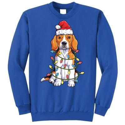 Beagle Santa Christmas Tree Lights Xmas Funny Gift Boys Gift Sweatshirt