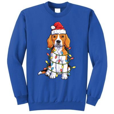 Beagle Santa Christmas Tree Lights Xmas Funny Gift Boys Gift Tall Sweatshirt