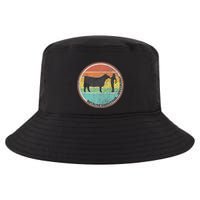 Because Show Cows ...Obviously Fun Cattle Showing Fair Cool Comfort Performance Bucket Hat