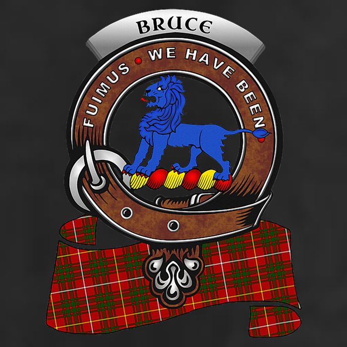 Bruce Scottish Clan Badge & Tartan 7 Panel Mesh Trucker Snapback Hat