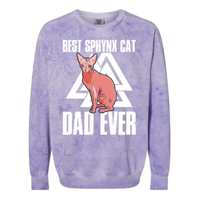 Best Sphynx Cat Dad Ever Great Gift Colorblast Crewneck Sweatshirt