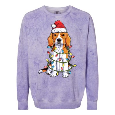 Beagle Santa Christmas Tree Lights Xmas Funny Gift Boys Funny Gift Colorblast Crewneck Sweatshirt