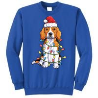 Beagle Santa Christmas Tree Lights Xmas Funny Gift Boys Funny Gift Sweatshirt