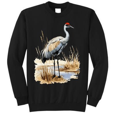 birding sandhill crane nebraska Sandhill cranes Sweatshirt