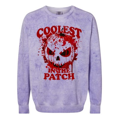 Blood Splatter Coolest Pumpkin In The Patch Bloody Halloween Meaningful Gift Colorblast Crewneck Sweatshirt