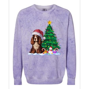 Boykin Spaniel Dog Xmas Tree Lights Reindeer Hat Christmas Colorblast Crewneck Sweatshirt