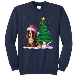 Boykin Spaniel Dog Xmas Tree Lights Reindeer Hat Christmas Sweatshirt