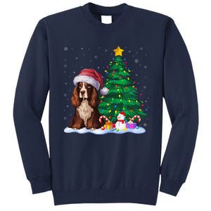 Boykin Spaniel Dog Xmas Tree Lights Reindeer Hat Christmas Tall Sweatshirt