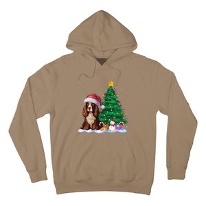 Boykin Spaniel Dog Xmas Tree Lights Reindeer Hat Christmas Hoodie