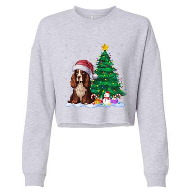 Boykin Spaniel Dog Xmas Tree Lights Reindeer Hat Christmas Cropped Pullover Crew