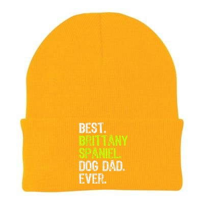 Brittany Spaniel Dog Dad Fathers Day Dog Lovers Knit Cap Winter Beanie