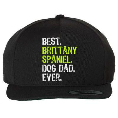 Brittany Spaniel Dog Dad Fathers Day Dog Lovers Wool Snapback Cap