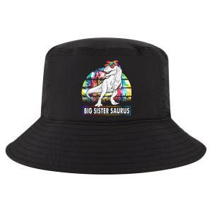 Big Sistersaurus Dinosaur Big Sister Saurus Family Matching Cool Comfort Performance Bucket Hat