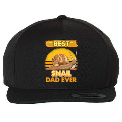  Best Snail Dad Ever Father's Day Slug Snails Wool Snapback Cap
