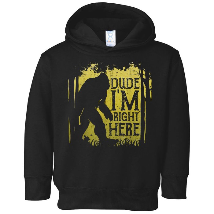Bigfoot Sasquatch Dude I'm Right Here Funny Men Vintage Toddler Hoodie