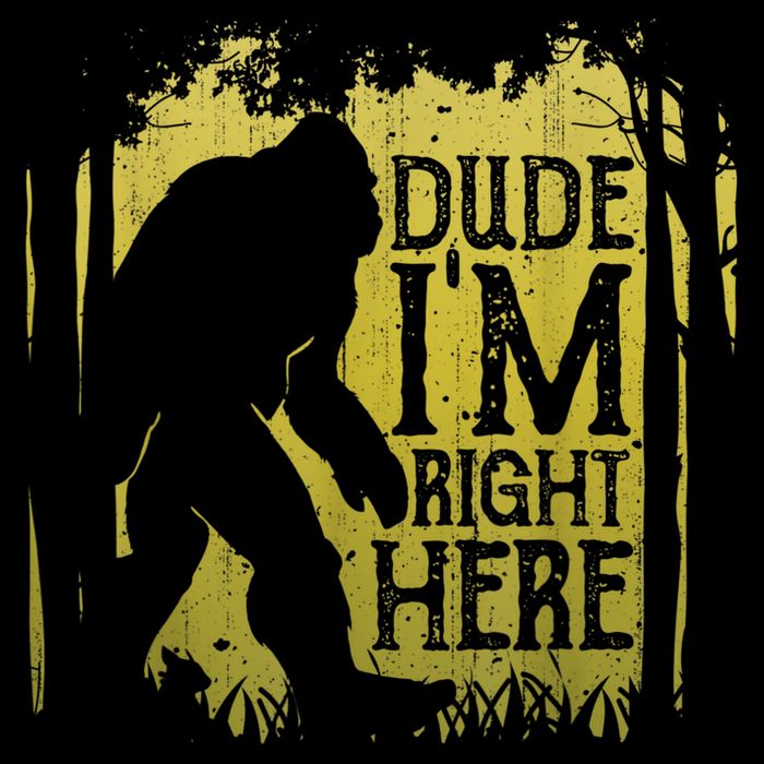 Bigfoot Sasquatch Dude I'm Right Here Funny Men Vintage Visor