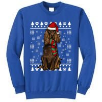 Boykin Spaniel Dog Santa Hat Xmas Ugly Christmas Gift Tall Sweatshirt