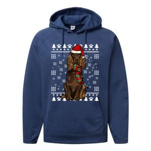 Boykin Spaniel Dog Santa Hat Xmas Ugly Christmas Gift Performance Fleece Hoodie