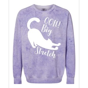 Big Stretch Funny Cat Lover Colorblast Crewneck Sweatshirt