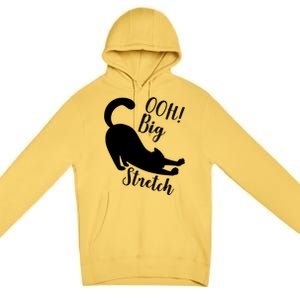 Big Stretch Funny Cat Lover Premium Pullover Hoodie