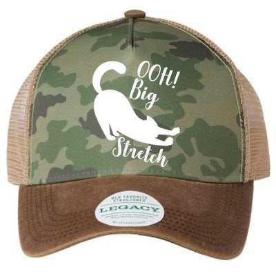 Big Stretch Funny Cat Lover Legacy Tie Dye Trucker Hat