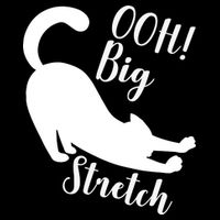 Big Stretch Funny Cat Lover Performance Shirt
