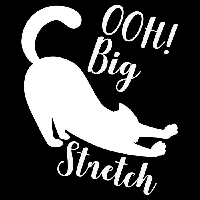Big Stretch Funny Cat Lover Performance Shirt