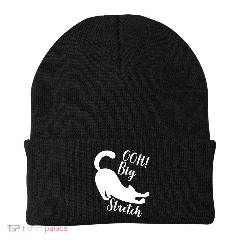Big Stretch Funny Cat Lover Beanie