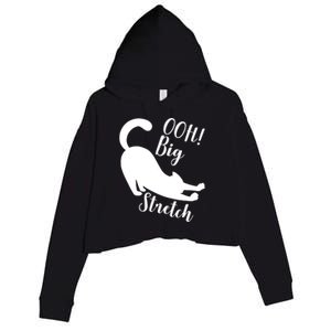 Big Stretch Funny Cat Lover Crop Fleece Hoodie