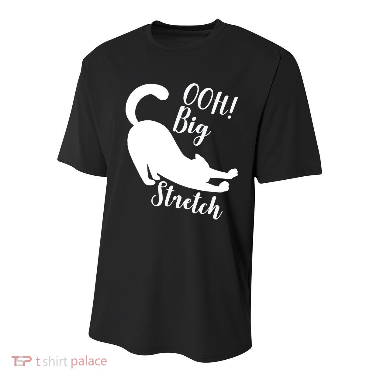 Big Stretch Funny Cat Lover Youth Performance Sprint T-Shirt