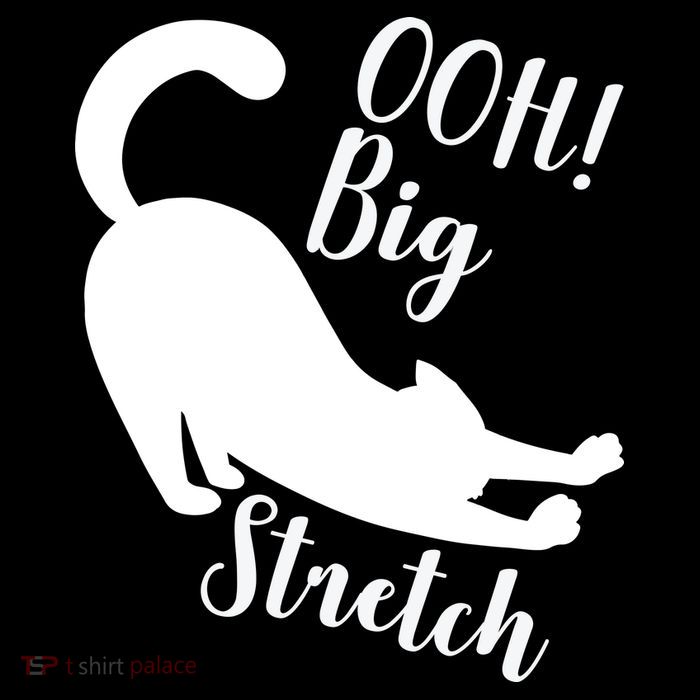 Big Stretch Funny Cat Lover Poster