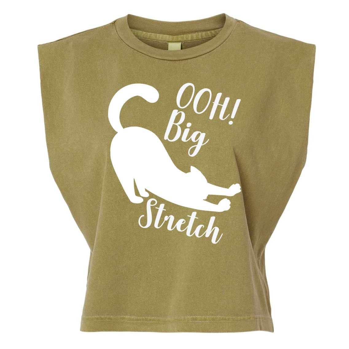 Big Stretch Funny Cat Lover Garment-Dyed Women's Muscle Tee
