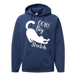 Big Stretch Funny Cat Lover Performance Fleece Hoodie