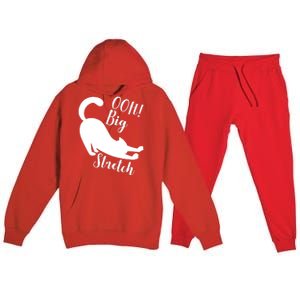 Big Stretch Funny Cat Lover Premium Hooded Sweatsuit Set