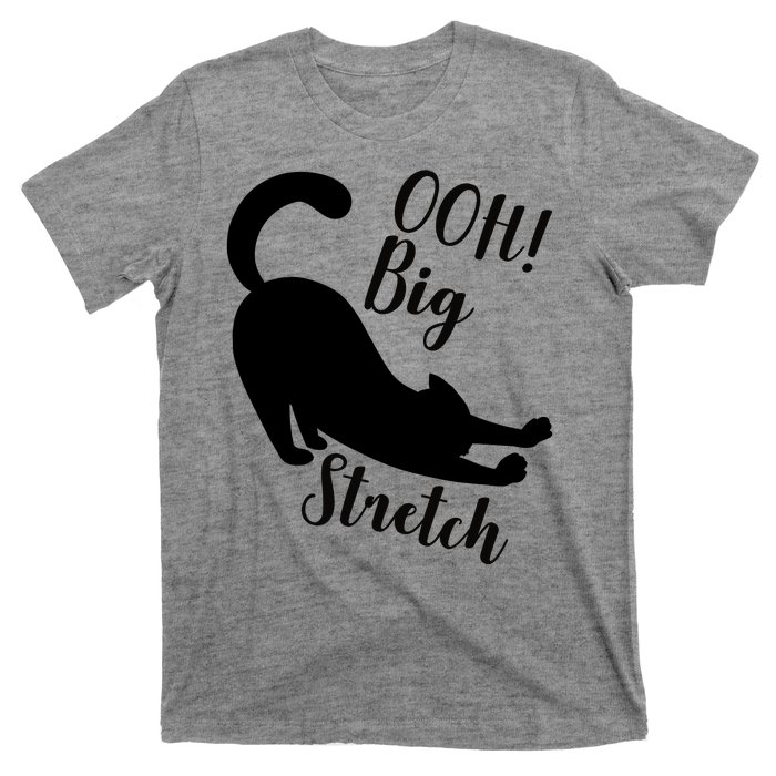 Big Stretch Funny Cat Lover T-Shirt