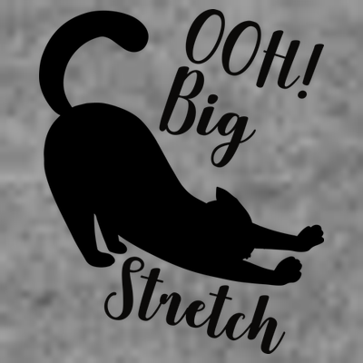 Big Stretch Funny Cat Lover T-Shirt