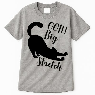 Big Stretch Funny Cat Lover Tall T-Shirt