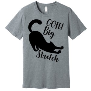 Big Stretch Funny Cat Lover Premium T-Shirt