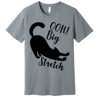 Big Stretch Funny Cat Lover Premium T-Shirt
