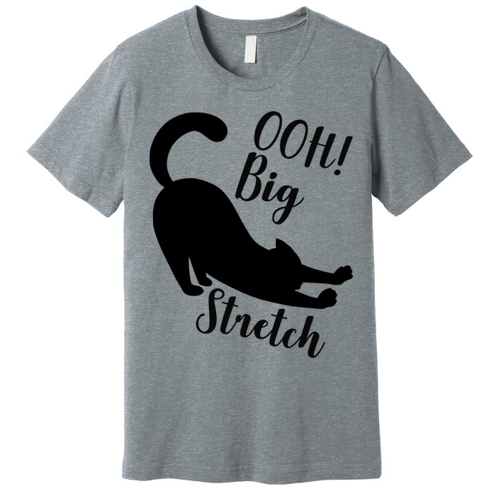 Big Stretch Funny Cat Lover Premium T-Shirt