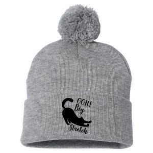 Big Stretch Funny Cat Lover Pom Pom 12in Knit Beanie