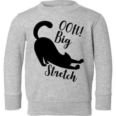 Big Stretch Funny Cat Lover Toddler Sweatshirt