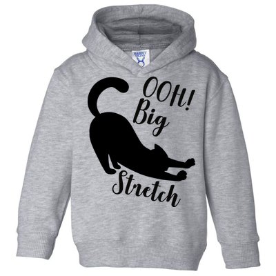 Big Stretch Funny Cat Lover Toddler Hoodie