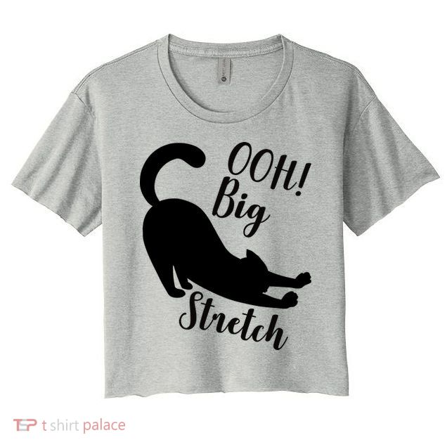 Big Stretch Funny Cat Lover Women's Crop Top Tee