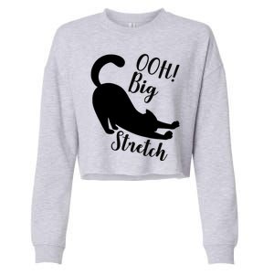 Big Stretch Funny Cat Lover Cropped Pullover Crew