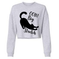 Big Stretch Funny Cat Lover Cropped Pullover Crew